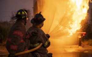Dog Dies In Suspicious Fire