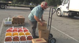 Drought Impacts Nc Farmers