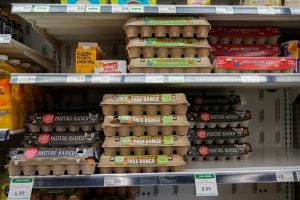 Egg Producers To Pay 3 3M Donate 53M Eggs