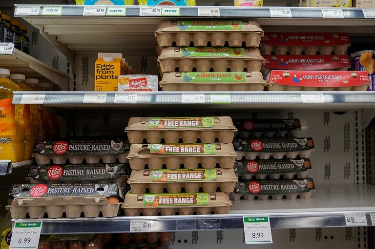 Egg Producers To Pay 3 3M Donate 53M Eggs