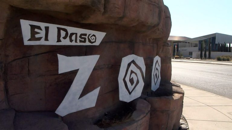 El Paso Zoo Animals Beat Heat