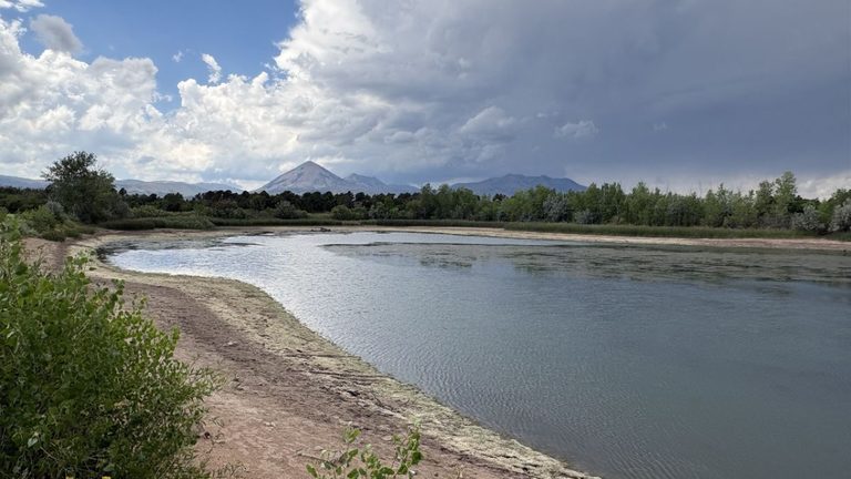Emergency Fish Salvage At Daigre Reservoir