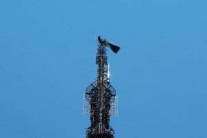 Empire State Building Marriage Proposal