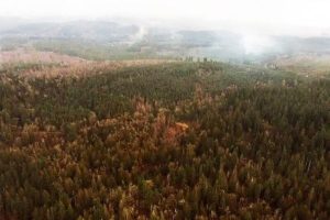 Enumclaw Gravel Mine Faces Environmental Review