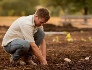 Epa Offers 30M For Safer Farming