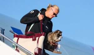 Erling Haaland S Taxidermy Raccoon