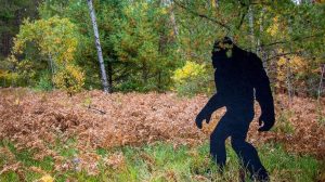 Family Claims Bigfoot Sighting