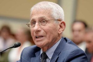 Fauci Faces Senate Questions