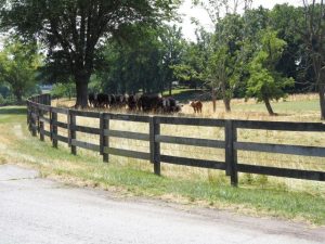 Federal Aid Available For Maryland Farmers