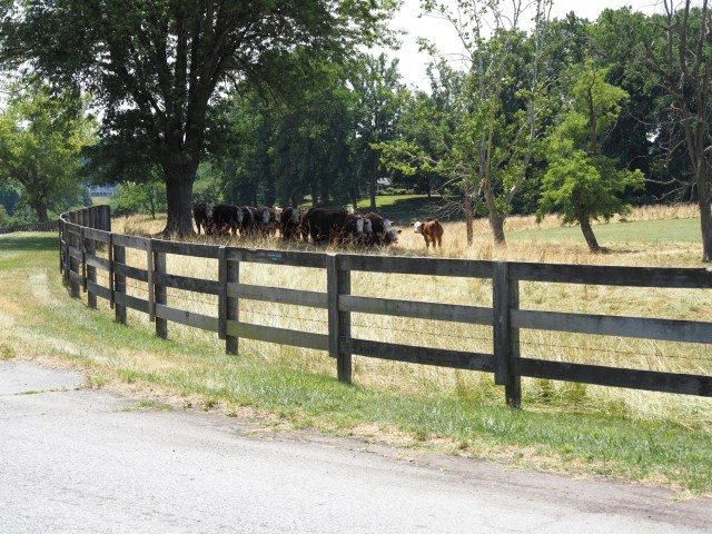 Federal Aid Available For Maryland Farmers