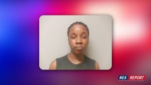 Felony Theft Arrest In Jonesboro