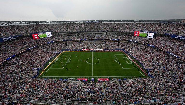Fifa Sells World Cup Final Field Grass