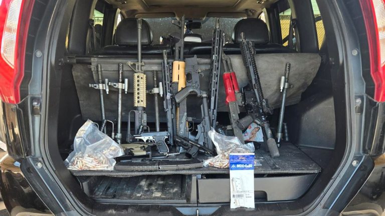 Firearms Seized At Texas Border