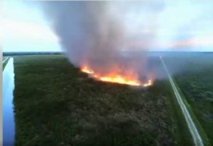 Firefighters Battle 75 Acre Brush Fire Near Indiantown