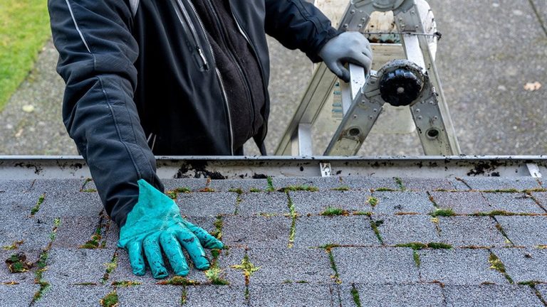First Steps After Discovering A Roof Leak