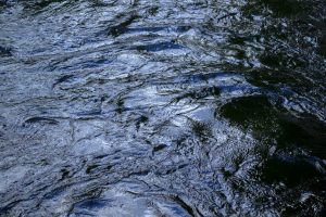 Five Drowning Victims Identified In Ohio