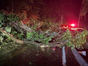Flooding Downed Trees Hit Louisville