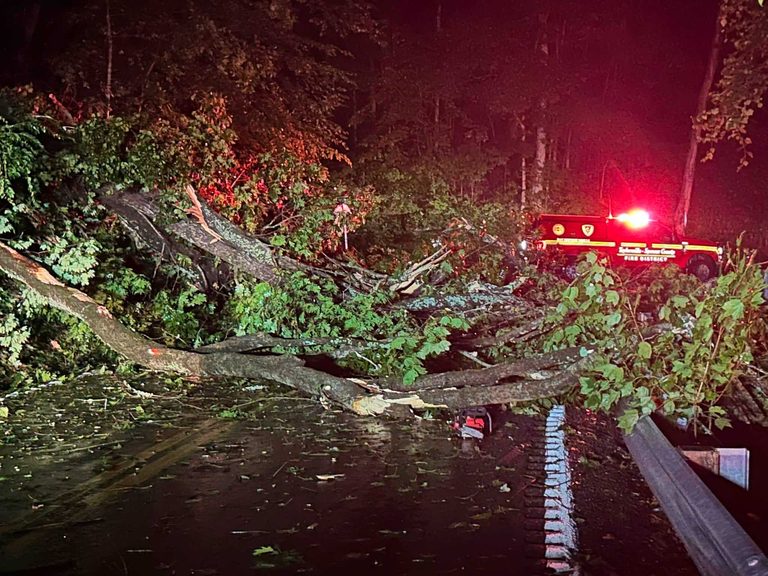 Flooding Downed Trees Hit Louisville