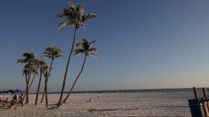 Florida Beach Lightning Strike Kills 1 Injures 3