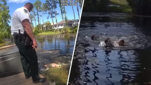 Florida Deputies Attacked In Canal