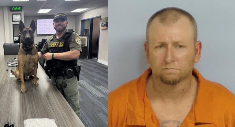 Florida Traffic Stop Yields 300G Meth Bust