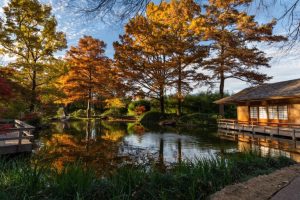 Fort Worth Botanic Garden Earns National Accreditation