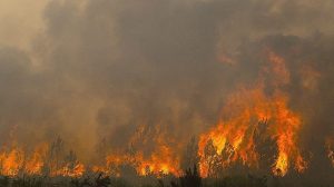 France Battles Deadly Wildfires