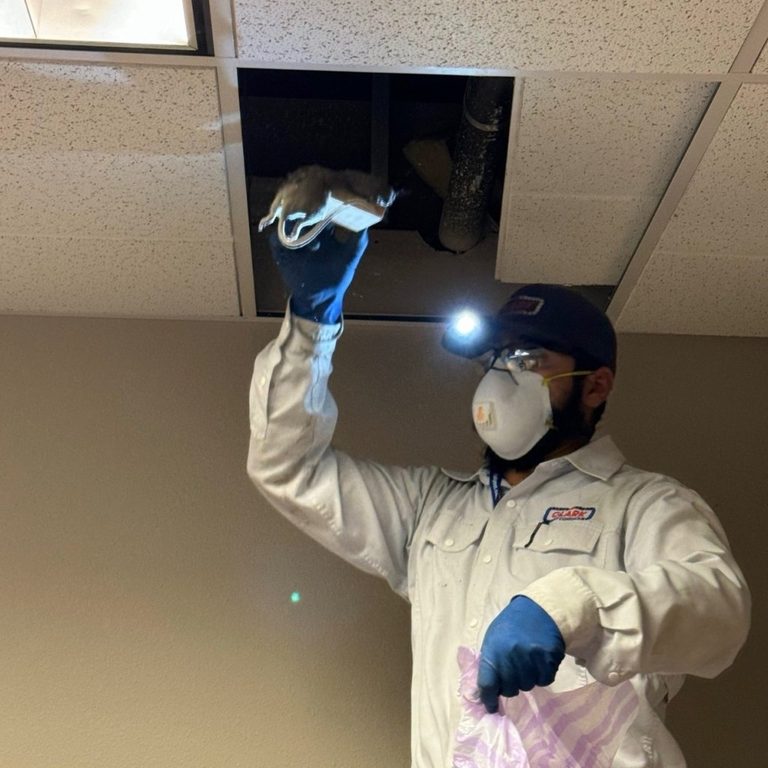 Fresno Gov Building Infested