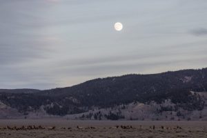 Full Buck Moon Visible