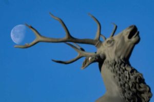 Full Buck Moon Visible This Week