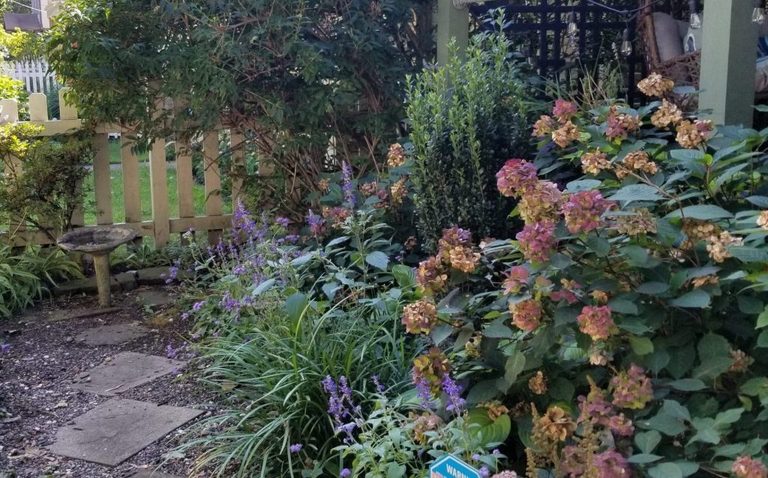 Gardenwalk Cleveland Opens Yards To Public