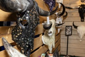 Good Bones Fort Worth Creates Artistic Longhorn Skulls