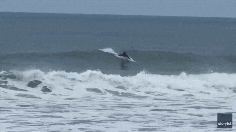 Great White Shark Breaches Near Boogie Boarder