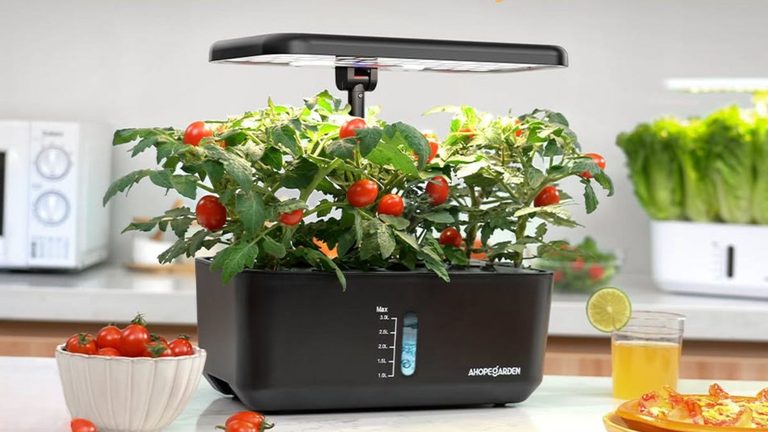 Grow Your Own Produce At Home