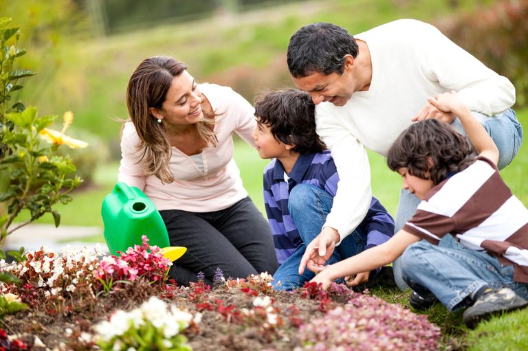 Growing Families Face Challenges