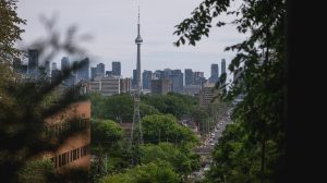 Gunfire At Toronto Festival