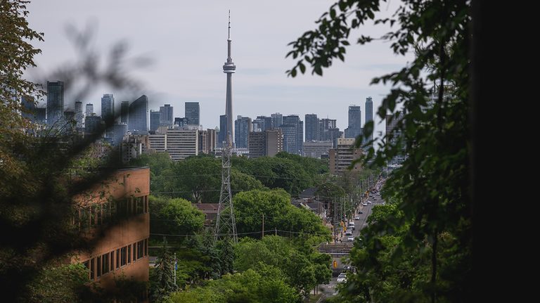 Gunfire At Toronto Festival