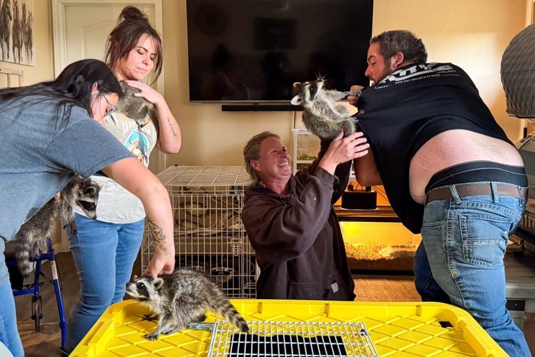 Hillsdale Wildlife Center