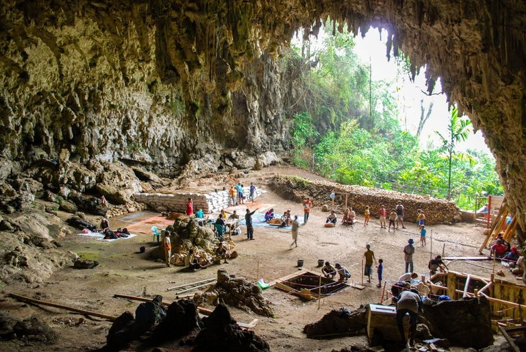 Hobbit Like Humans May Have Scavenged