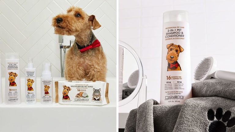 Hollywood Hairstylist Recommends 15 Pet Shampoo