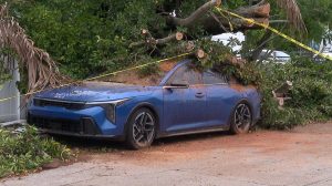 Hollywood Storm Damage