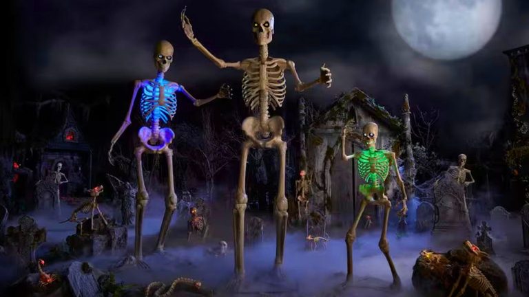 Home Depot S Skelly Returns
