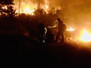Idaho Honors Wildland Firefighters