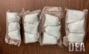 Indiana Drug Ring Charged