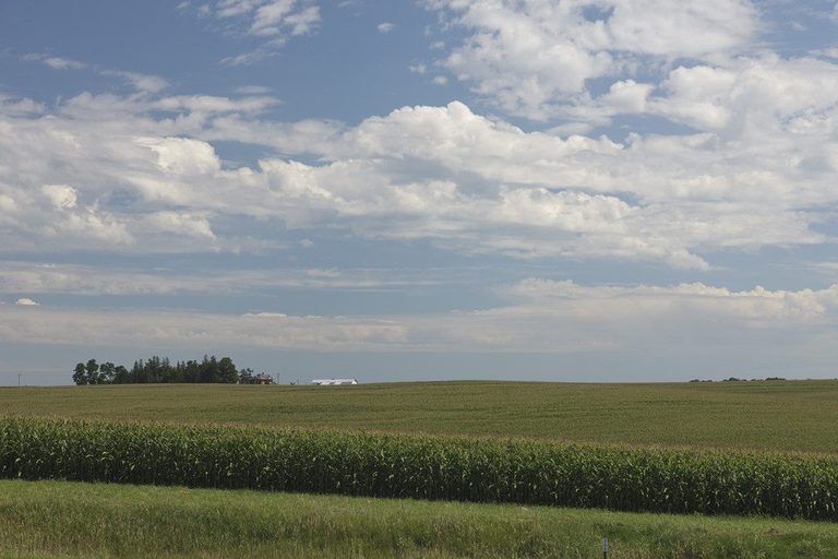 Indiana Farmers Balance Heat And Weeds