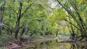 Indiana Wildlife Refuge Faces Uncertain Future