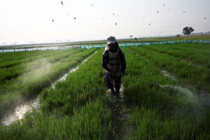 Indonesia Weather Agency Warns Of Extreme Dry Weather