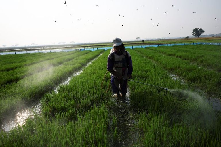 Indonesia Weather Agency Warns Of Extreme Dry Weather