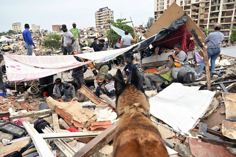 International Dog Squad Helps Save Lives After Venezuela Earthquakes