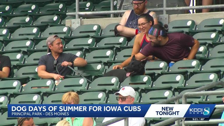Iowa Cubs Host Dog Days Of Summer